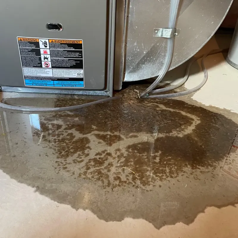 Appliance Leak Cleanup in Elwood, KS